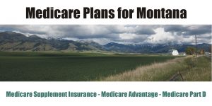 Montana Medicare
