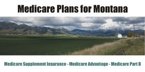 Montana Medicare